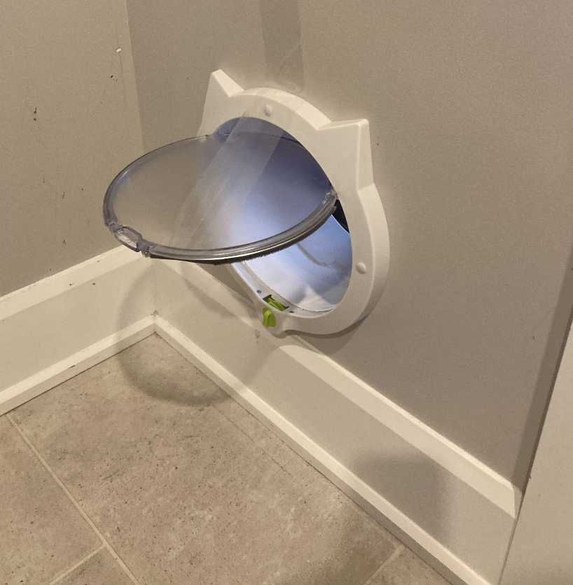 Cat door from inside